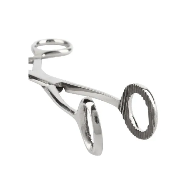 Forceps MR. STEEL Cube Tongs. pentru jocuri BDSM și roleplay. din oțel inoxidabil. lungime 16 cm. culoare argintiu