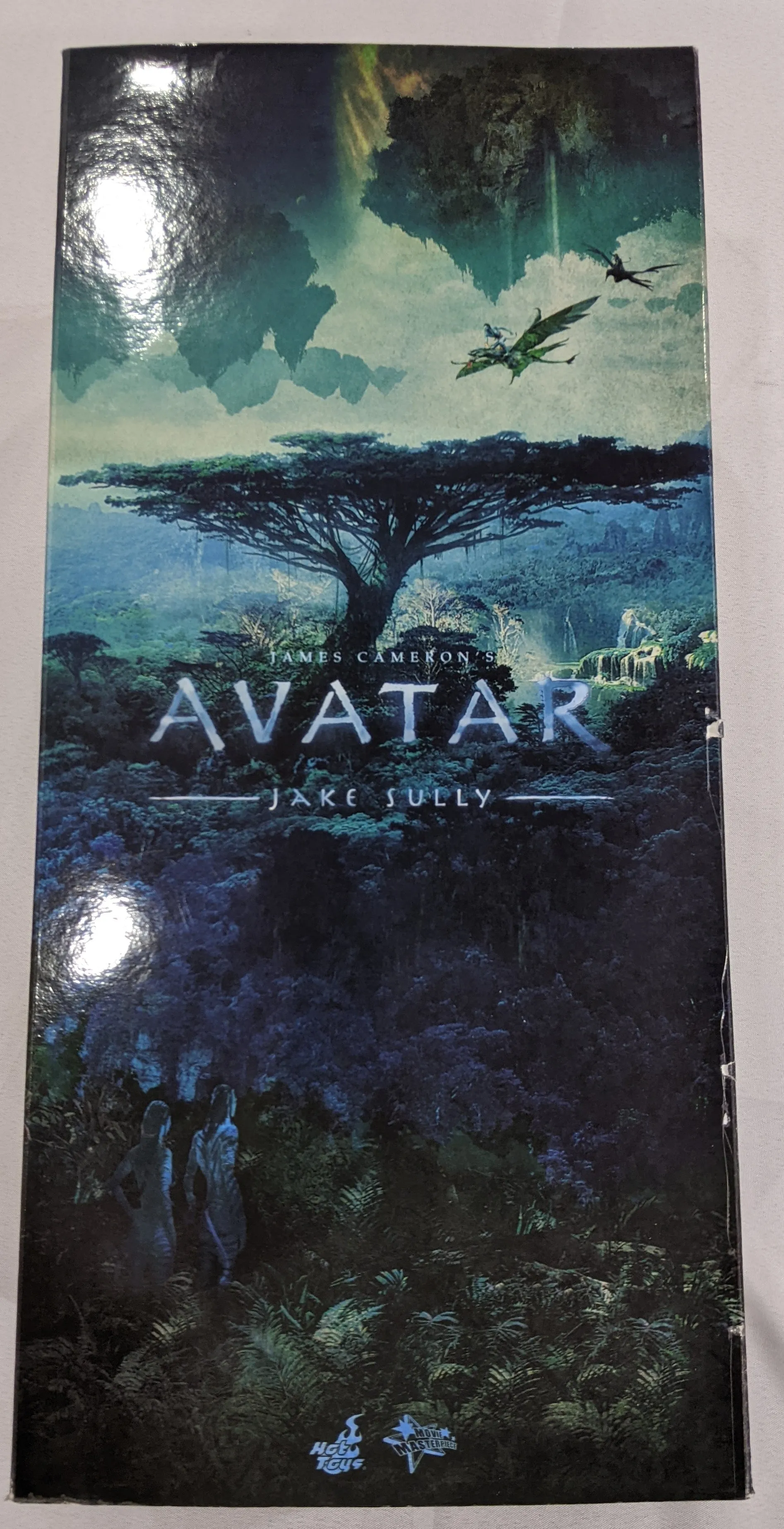 Hot Toys 1/6 Avatar Jake Sully Sixth Scale Figure MMS159