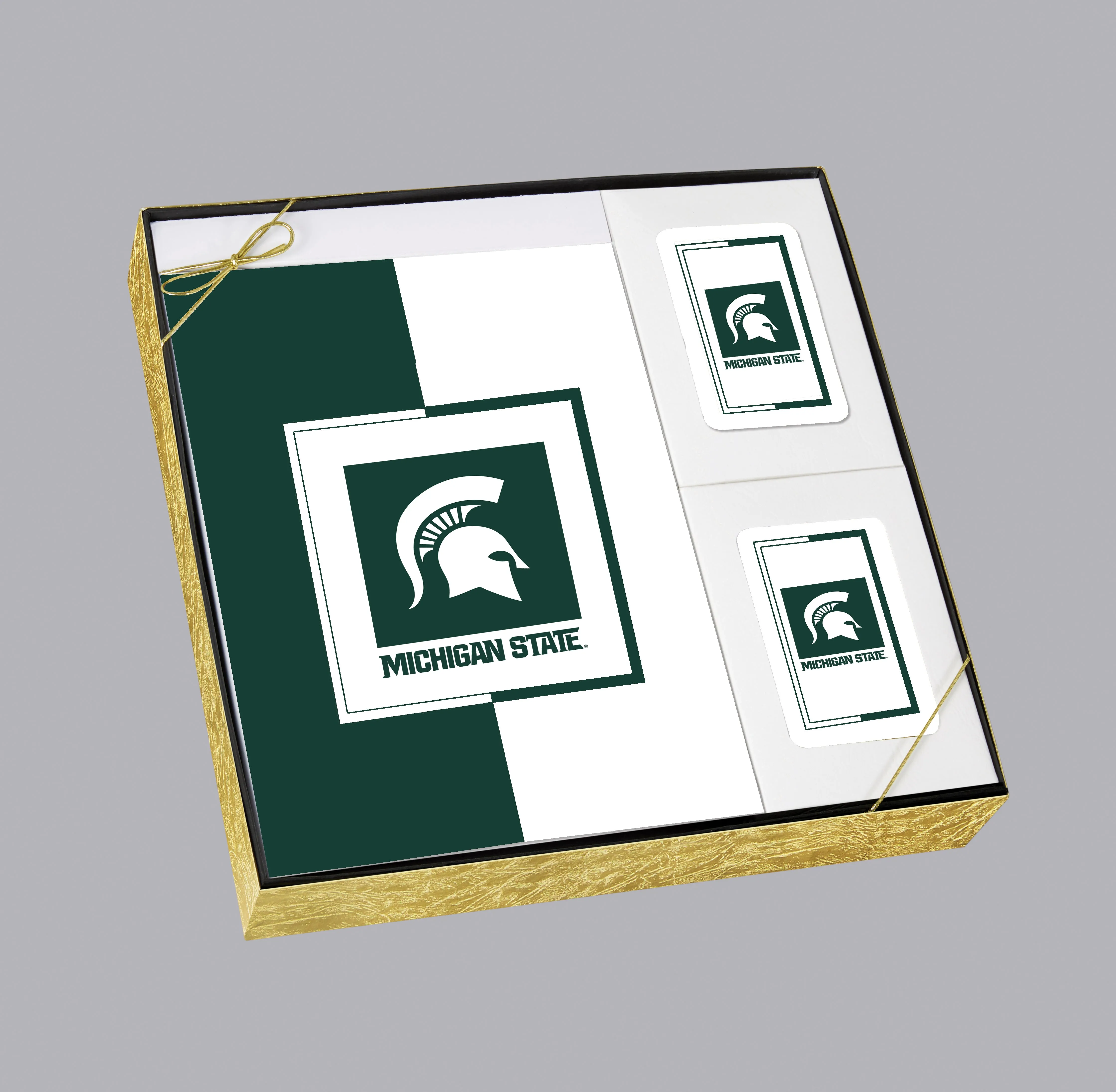 Michigan State University Spartans Memorial Cremation Urn